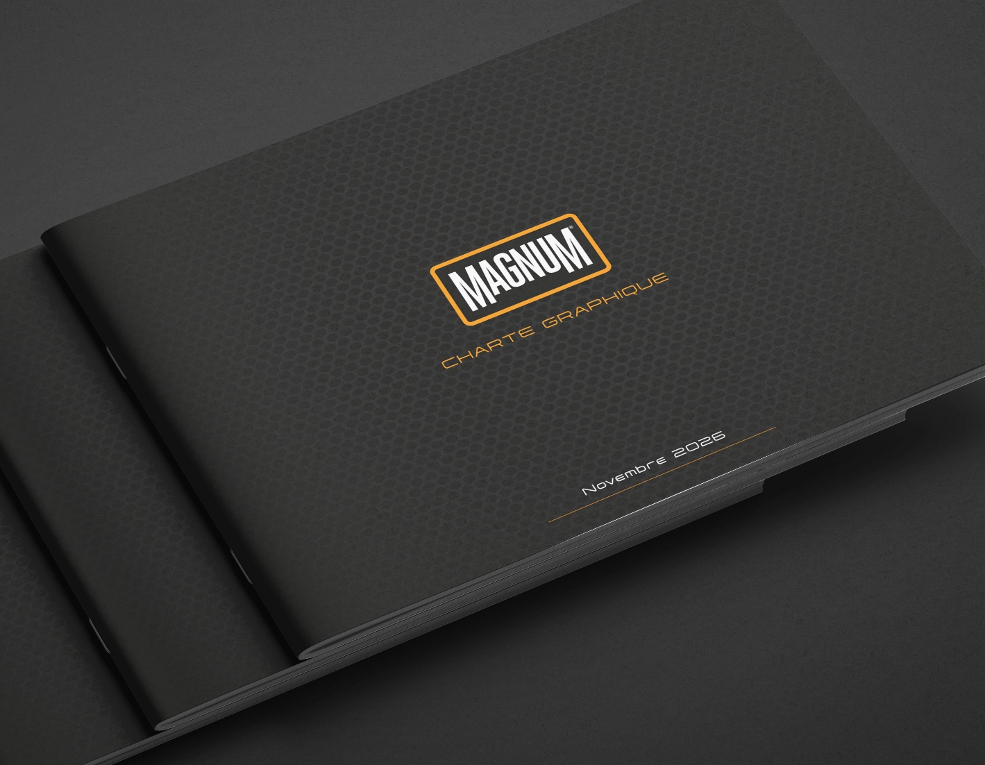 Cover of the Magnum France brand guidelines